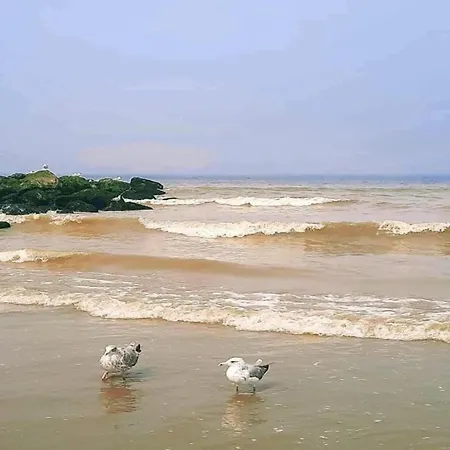 Four Fine 0402 With Beautiful Sea View 니우포르트